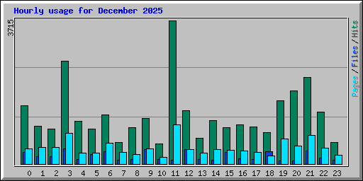 Hourly usage for December 2025