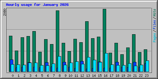 Hourly usage for January 2026